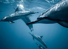 KaiyunAPP-恒大出局！水原靠1个净胜球晋级 神户后卫诡异送点