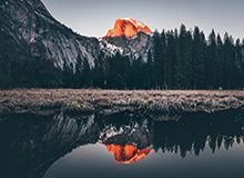 开云-7位家人因新冠去世 唐斯痛苦发声：我见过很多棺材